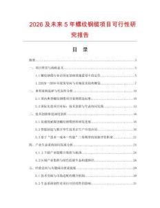 2026及未來5年螺紋鋼纜項(xiàng)目可行性研究報(bào)告