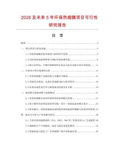 2026及未來5年環保熱縮膜項目可行性研究報告