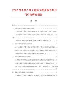 2026及未來5年公制亞光兩用扳手項(xiàng)目可行性研究報告