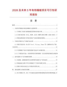 2026及未來5年有檔錨鏈項目可行性研究報告