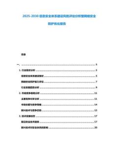 2025-2030信息安全體系建設風險評估分析暨網絡安全防護優化報告