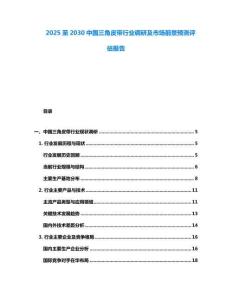 2025至2030中國(guó)三角皮帶行業(yè)調(diào)研及市場(chǎng)前景預(yù)測(cè)評(píng)估報(bào)告