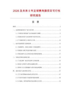 2026及未來5年足球賽角旗項目可行性研究報告