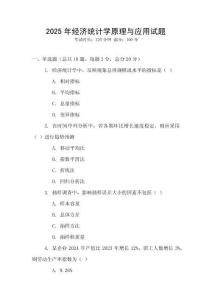 2025年經(jīng)濟統(tǒng)計學(xué)原理與應(yīng)用試題