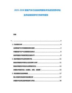 2025-2030智能汽車行業(yè)自動(dòng)駕駛技術(shù)先進(jìn)性競(jìng)爭(zhēng)評(píng)估及供應(yīng)鏈投資可行性研究報(bào)告