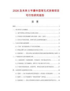 2026及未來5年豪華型背孔式貨架項目可行性研究報告
