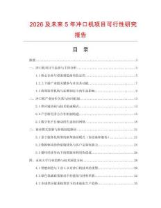 2026及未來5年沖口機(jī)項(xiàng)目可行性研究報(bào)告