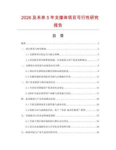 2026及未來5年支撐體項(xiàng)目可行性研究報(bào)告