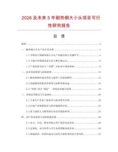 2026及未來5年耐熱鋼大小頭項目可行性研究報告
