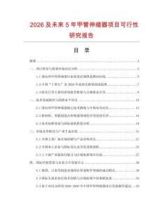 2026及未來5年甲管伸縮器項目可行性研究報告