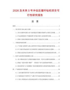 2026及未來5年沖擊反循環(huán)鉆機(jī)項(xiàng)目可行性研究報(bào)告