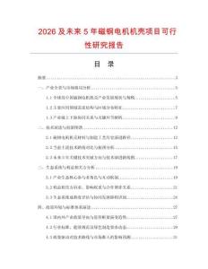 2026及未來(lái)5年磁鋼電機(jī)機(jī)殼項(xiàng)目可行性研究報(bào)告