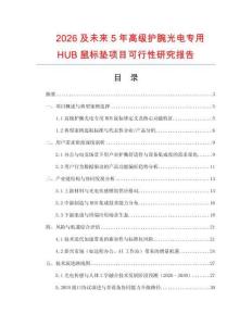 2026及未來(lái)5年高級(jí)護(hù)腕光電專用HUB鼠標(biāo)墊項(xiàng)目可行性研究報(bào)告