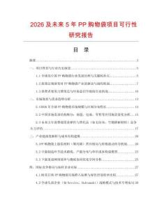 2026及未來5年PP購物袋項目可行性研究報告