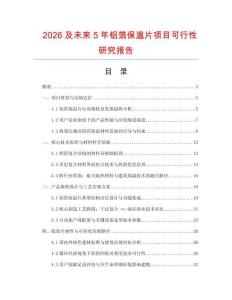 2026及未來5年鋁箔保溫片項目可行性研究報告