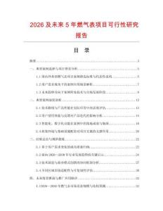 2026及未來(lái)5年燃?xì)獗眄?xiàng)目可行性研究報(bào)告