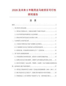 2026及未來5年鞋用走馬線項目可行性研究報告