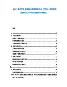 2025至2030中國機場跑道異物碎片（FOD）檢測系統行業調研及市場前景預測評估報告