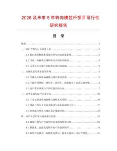 2026及未來5年轉向橫拉桿項目可行性研究報告