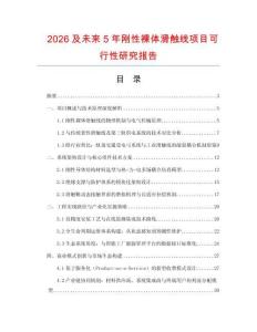 2026及未來5年剛性裸體滑觸線項目可行性研究報告