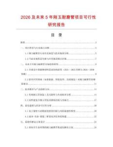 2026及未來5年剛玉耐磨管項目可行性研究報告
