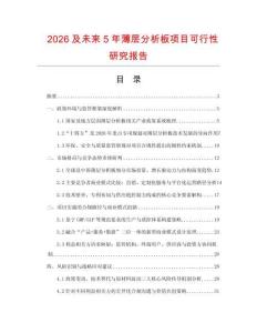 2026及未來5年薄層分析板項目可行性研究報告