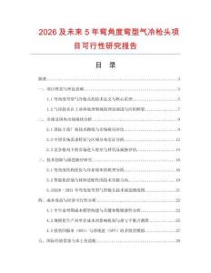 2026及未來5年彎角度彎型氣冷槍頭項目可行性研究報告