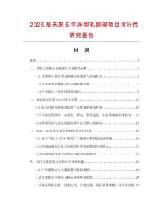 2026及未來5年異型毛刷輥項(xiàng)目可行性研究報告