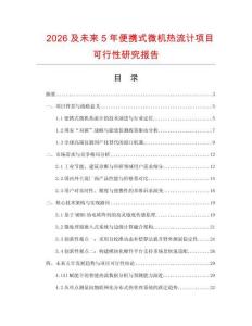 2026及未來5年便攜式微機(jī)熱流計(jì)項(xiàng)目可行性研究報(bào)告