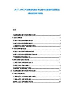 2025-2030汽車燃油電池技術行業市場前景供需分析及投資規劃研究報告