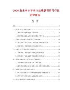 2026及未來5年束口拉繩袋項目可行性研究報告