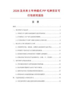 2026及未來5年伸縮式PP毛撣項目可行性研究報告