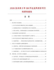 2026及未來5年SB開邊龍鳳項目可行性研究報告
