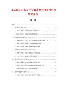 2026及未來5年柏油去除劑項目可行性研究報告