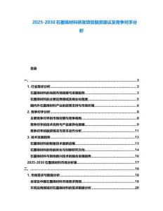 2025-2030石墨烯材料研發項目融資建議及競爭對手分析