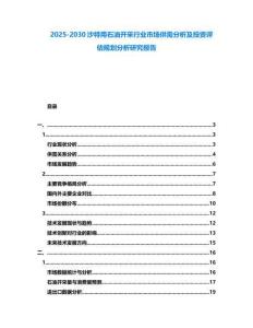 2025-2030沙特用石油開采行業市場供需分析及投資評估規劃分析研究報告