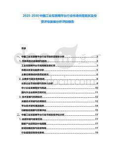 2025-2030中國工業互聯網平臺行業市場供需現狀及投資評估發展分析評估報告