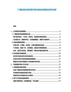 廣播影視內(nèi)容消費升級與商業(yè)變現(xiàn)模式研究文獻
