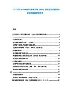 2025至2030電子束曝光系統（EBL）行業運營態勢與投資前景調查研究報告