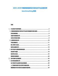 2025-2030中國民宿集群區共享洗衣平臺運營效率benchmarking報告