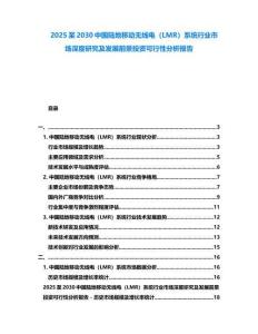 2025至2030中國陸地移動無線電（LMR）系統(tǒng)行業(yè)市場深度研究及發(fā)展前景投資可行性分析報(bào)告