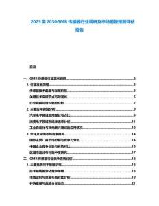 2025至2030GMR傳感器行業調研及市場前景預測評估報告