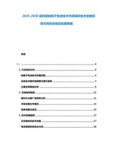 2025-2030溫和型鈉離子電池技術(shù)市場(chǎng)調(diào)研技術(shù)發(fā)展投資方向綜合規(guī)劃發(fā)展策略
