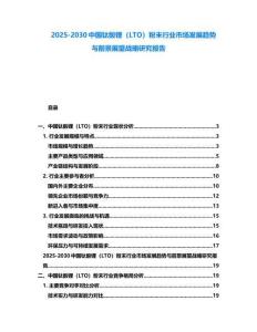 2025-2030中國鈦酸鋰（LTO）粉末行業市場發展趨勢與前景展望戰略研究報告