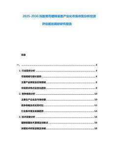 2025-2030抗酸胃藥緩釋裝置產業化市場供需分析投資評估規劃調研研究報告