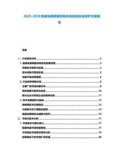 2025-2030智能電表數(shù)據(jù)采集系統(tǒng)信息安全防護(hù)方案報(bào)告
