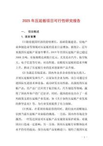 2025年壓延板項(xiàng)目可行性研究報(bào)告