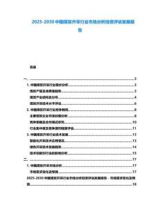 2025-2030中國(guó)煤炭開采行業(yè)市場(chǎng)分析投資評(píng)估發(fā)展報(bào)告