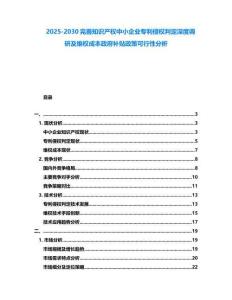 2025-2030完善知識產權中小企業(yè)專利侵權判定深度調研及維權成本政府補貼政策可行性分析