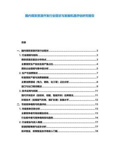 國(guó)內(nèi)煤炭資源開發(fā)行業(yè)現(xiàn)狀與發(fā)展機(jī)遇評(píng)估研究報(bào)告